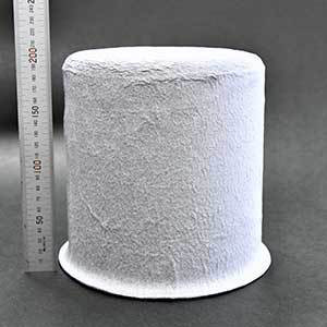 パルプモールド