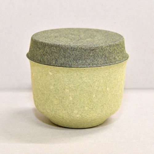 パルプモールド6