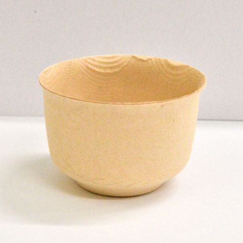 パルプモールド5